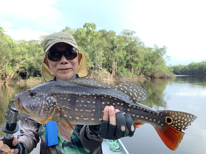 2025N10uWA}]ނ艓_COނ嗷sЃrbNgEg