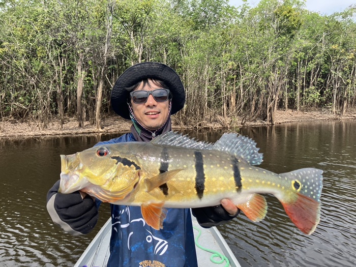 2025N10uWA}]ނ艓_COނ嗷sЃrbNgEg