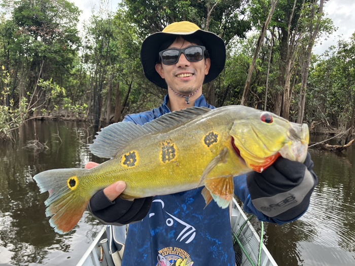 2025N10uWA}]ނ艓_COނ嗷sЃrbNgEg