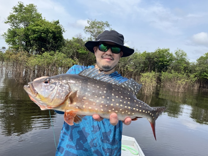 2025N10uWA}]ނ艓_COނ嗷sЃrbNgEg