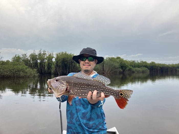 2025N10uWA}]ނ艓_COނ嗷sЃrbNgEg