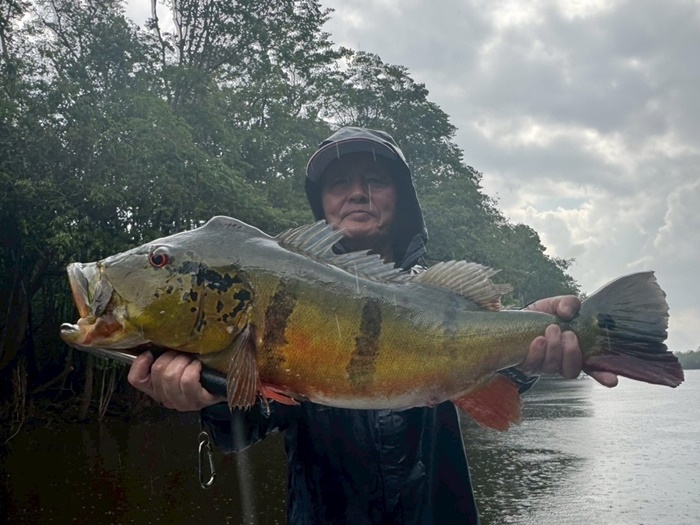 2025N10uWA}]ނ艓_COނ嗷sЃrbNgEg