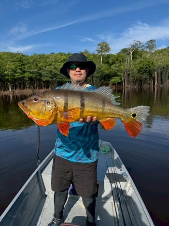 2025N10uWA}]ނ艓_COނ嗷sЃrbNgEg