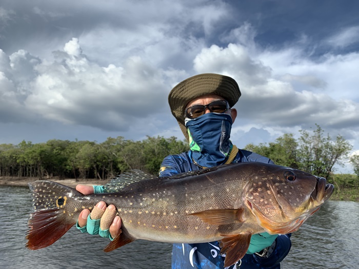 2025N10uWA}]ނ艓_COނ嗷sЃrbNgEg