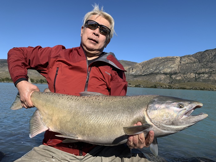 2026�N2���p�^�S�j�A�L���O�T�[�����ނ艓��_�C�O�ނ��嗷�s��Ѓr�b�N�g���E�g