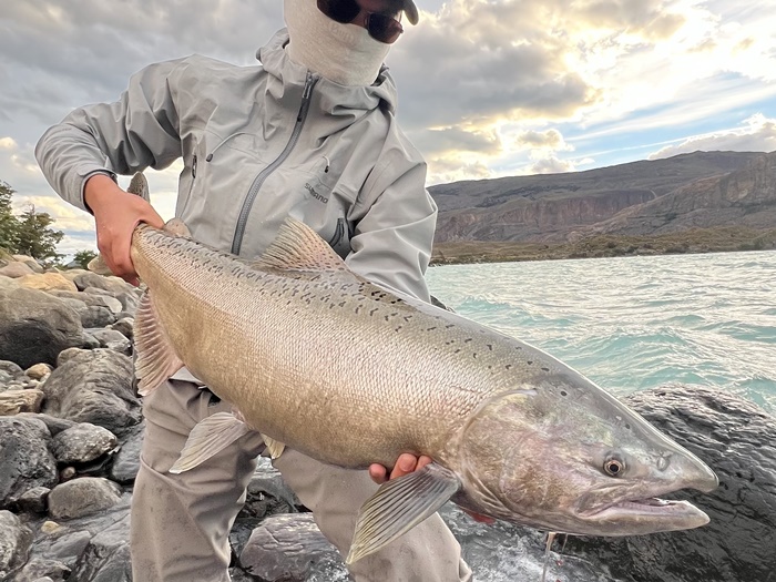 2026�N2���p�^�S�j�A�L���O�T�[�����ނ艓��_�C�O�ނ��嗷�s��Ѓr�b�N�g���E�g