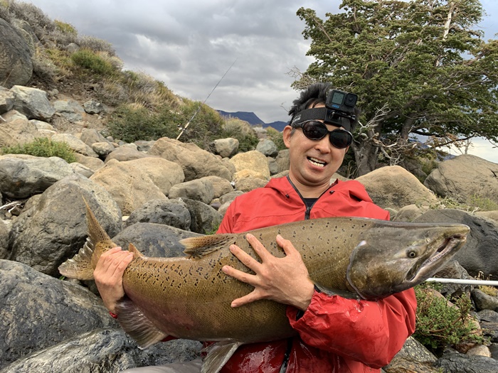 2026�N2���p�^�S�j�A�L���O�T�[�����ނ艓��_�C�O�ނ��嗷�s��Ѓr�b�N�g���E�g