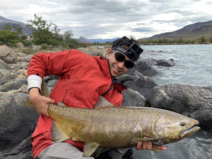 2026�N2���p�^�S�j�A�L���O�T�[�����ނ艓��_�C�O�ނ��嗷�s��Ѓr�b�N�g���E�g