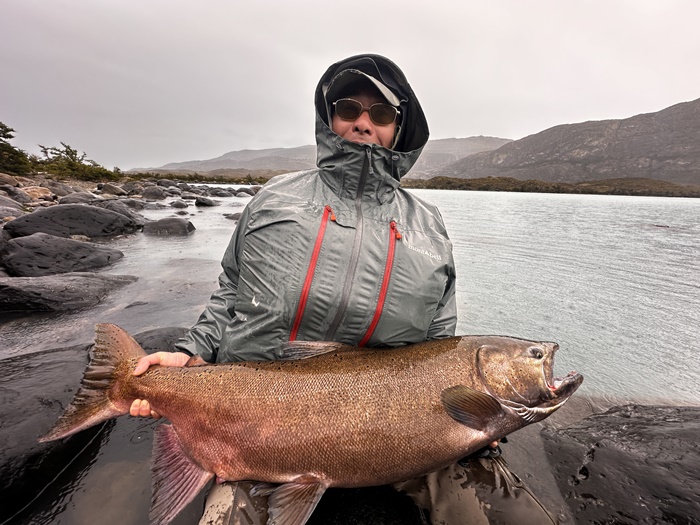 2026�N2���p�^�S�j�A�L���O�T�[�����ނ艓��_�C�O�ނ��嗷�s��Ѓr�b�N�g���E�g