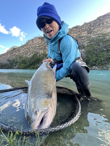 2026�N2���p�^�S�j�A�L���O�T�[�����ނ艓��_�C�O�ނ��嗷�s��Ѓr�b�N�g���E�g