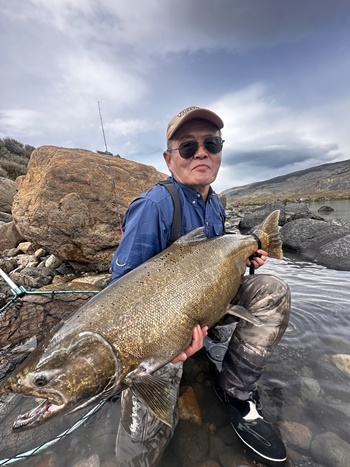 2026�N2���p�^�S�j�A�L���O�T�[�����ނ艓��_�C�O�ނ��嗷�s��Ѓr�b�N�g���E�g