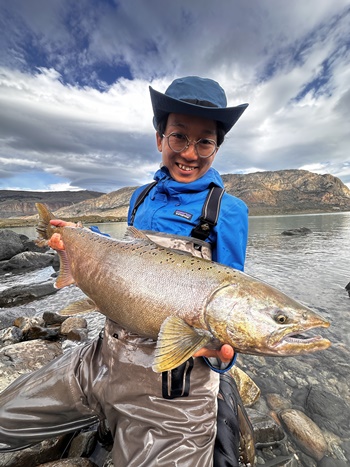 2026�N2���p�^�S�j�A�L���O�T�[�����ނ艓��_�C�O�ނ��嗷�s��Ѓr�b�N�g���E�g