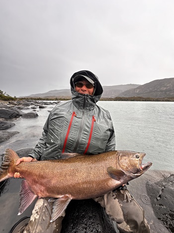 2026�N2���p�^�S�j�A�L���O�T�[�����ނ艓��_�C�O�ނ��嗷�s��Ѓr�b�N�g���E�g