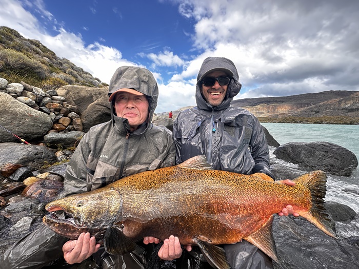 2026�N2���p�^�S�j�A�L���O�T�[�����ނ艓��_�C�O�ނ��嗷�s��Ѓr�b�N�g���E�g