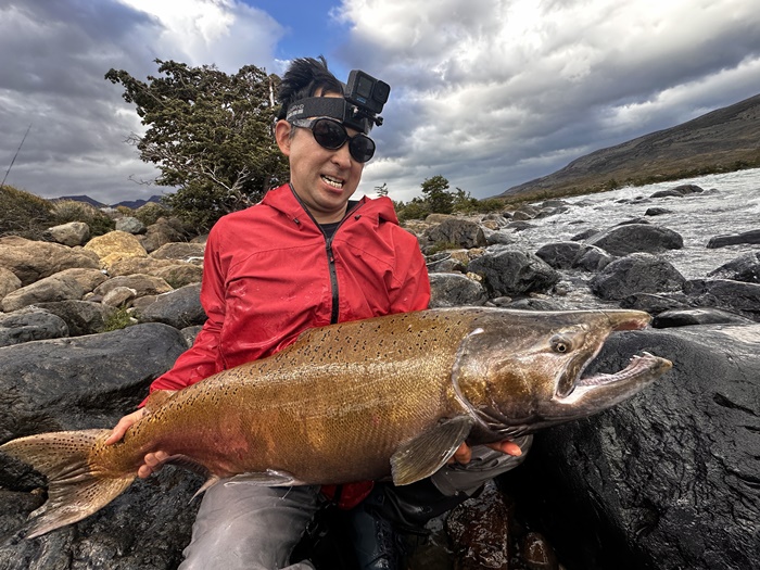 2026�N2���p�^�S�j�A�L���O�T�[�����ނ艓��_�C�O�ނ��嗷�s��Ѓr�b�N�g���E�g