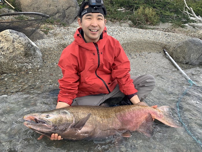 2026�N2���p�^�S�j�A�L���O�T�[�����ނ艓��_�C�O�ނ��嗷�s��Ѓr�b�N�g���E�g