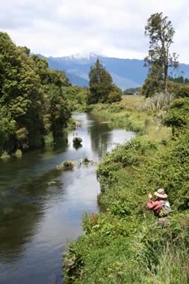 ニュージーランド　フライフィッシング　海外釣り専門旅行会社ビックトラウト