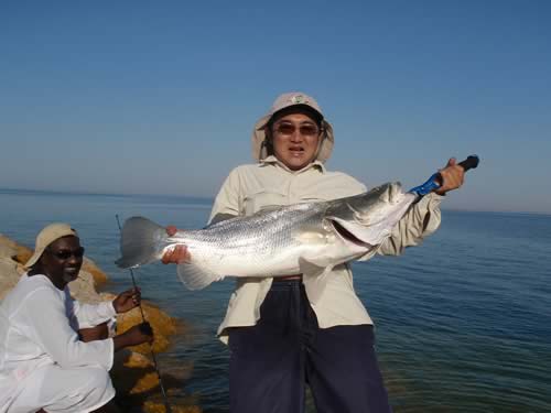 エジプト　ナイルパーチ　釣り